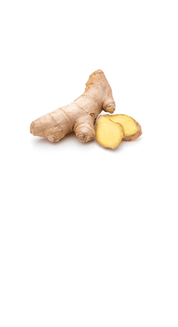 ショウガ根エキス