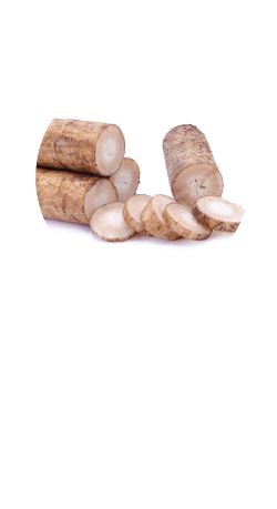 ゴボウ根エキス