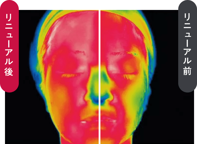 リニューアル前後