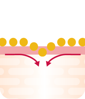 アニメーション